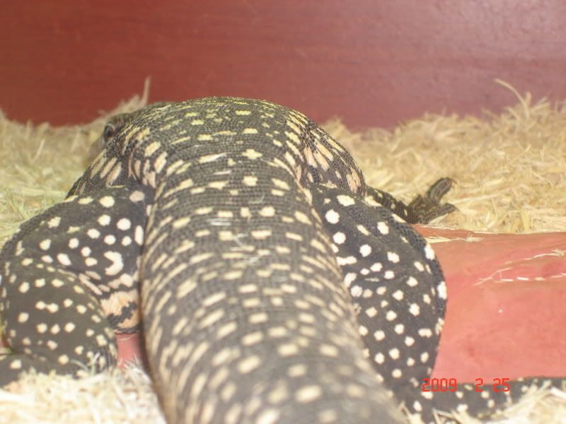 feb24tegu017.jpg