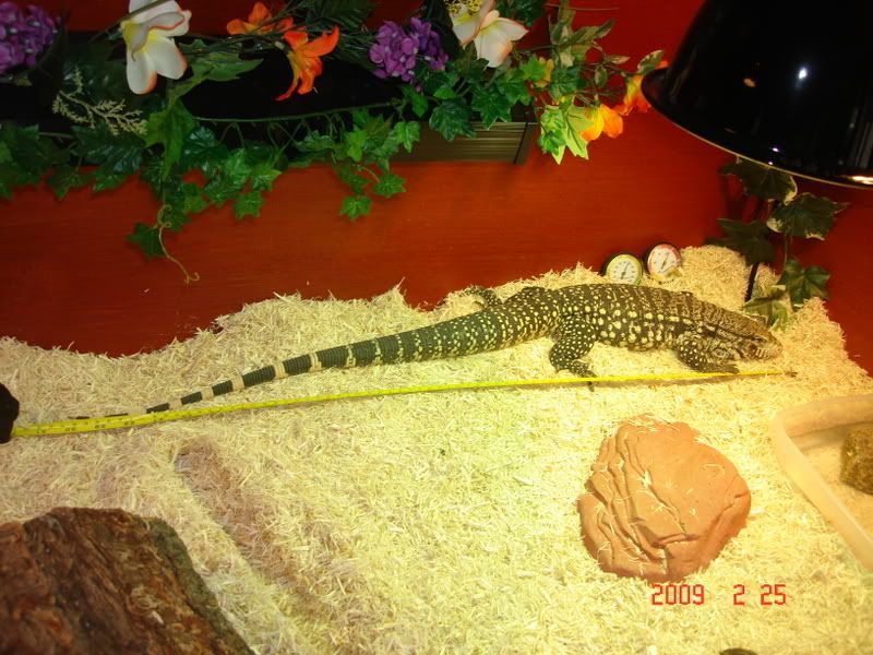 feb24tegu037.jpg