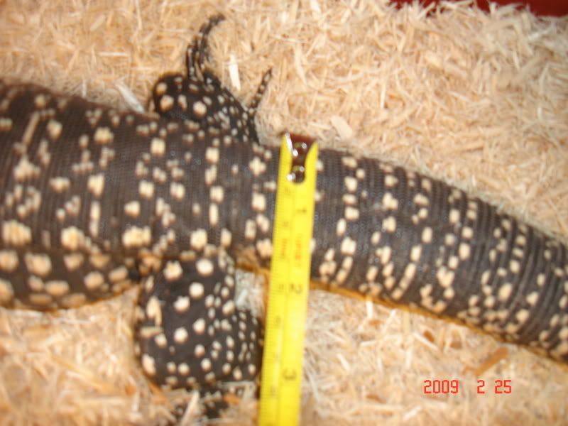 feb24tegu047.jpg