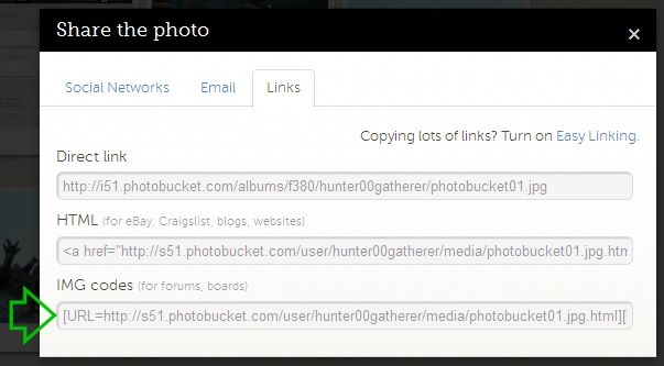 photobucket04.jpg photobucket04.jpg