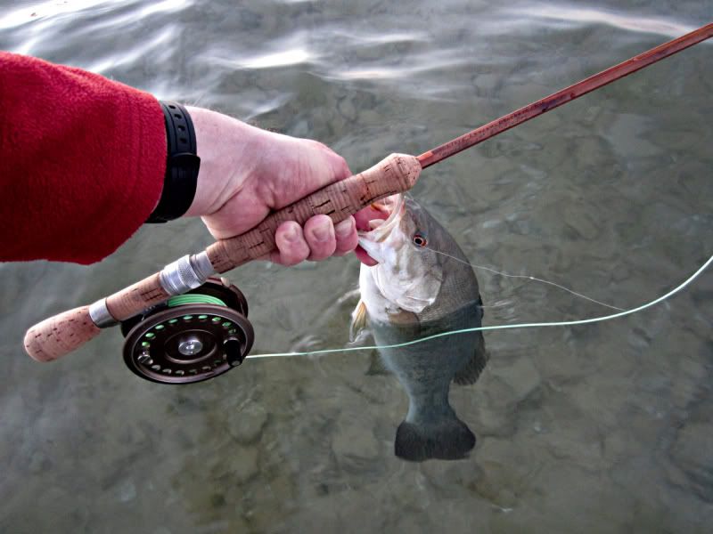 Outstanding rods - The Classic Fly Rod Forum
