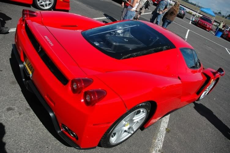 Enzo1.jpg