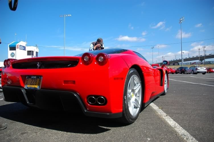 Enzo2.jpg