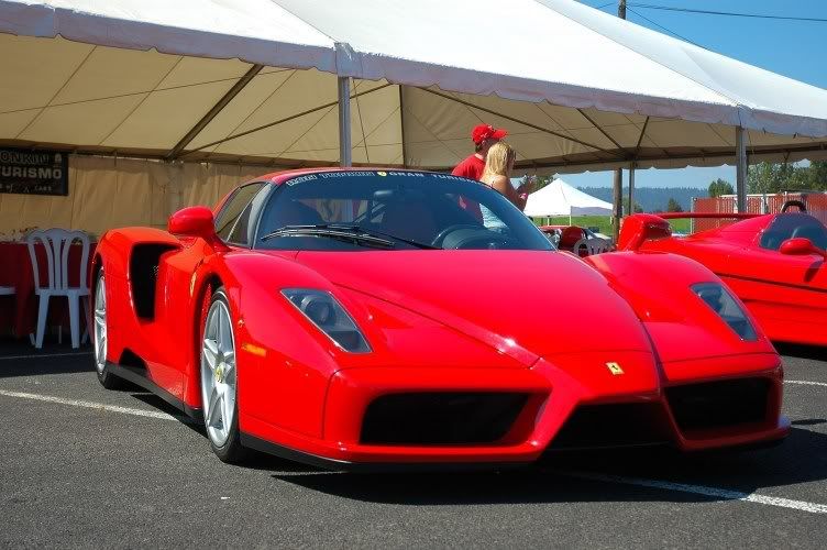Enzo3.jpg