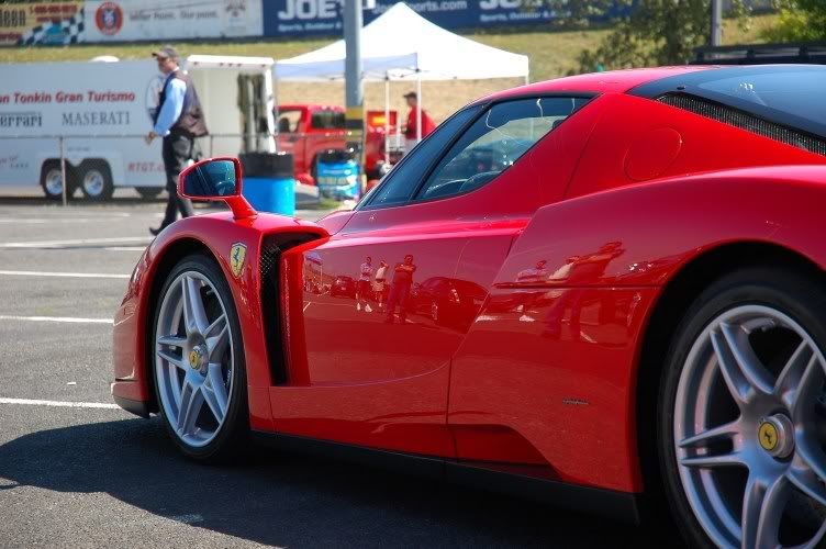 Enzo4.jpg
