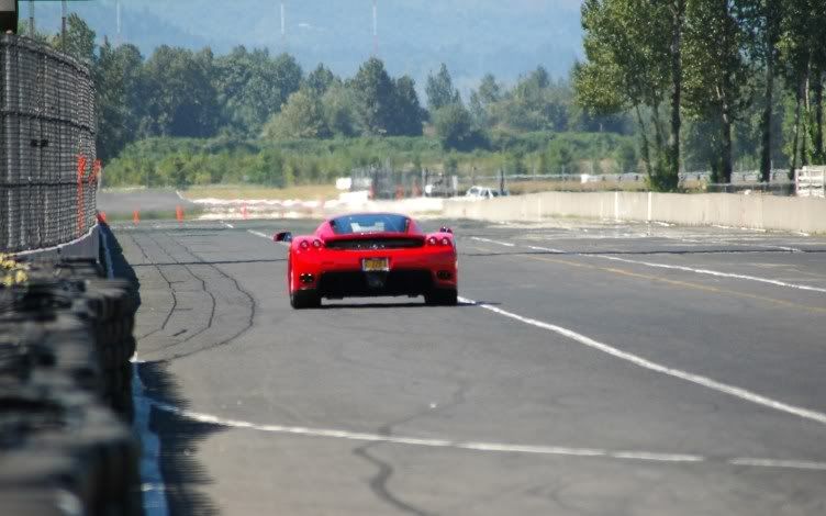 Enzo5.jpg
