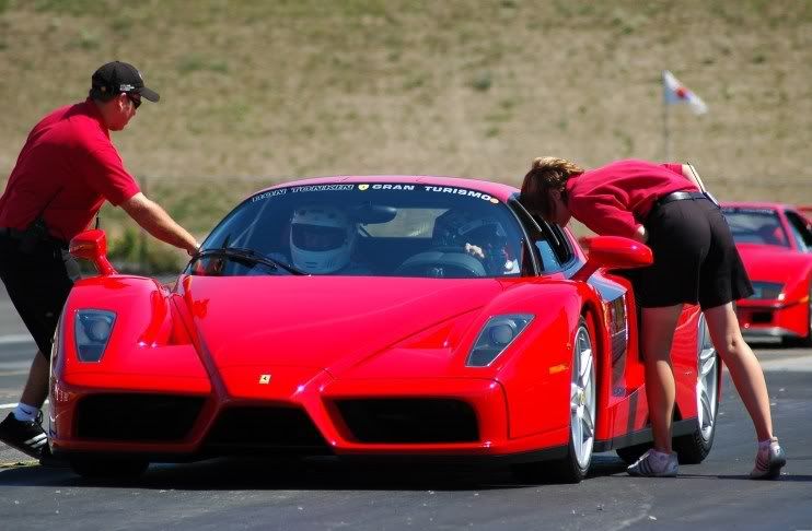Enzo6.jpg