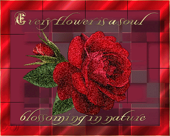 rose.gif rose image by waterthatfalls