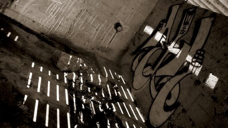 IMAGE: http://i51.photobucket.com/albums/f381/RyanK327/SepiaGraffiti.jpg