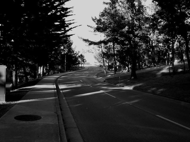 IMAGE: http://i51.photobucket.com/albums/f381/RyanK327/random032-1.jpg