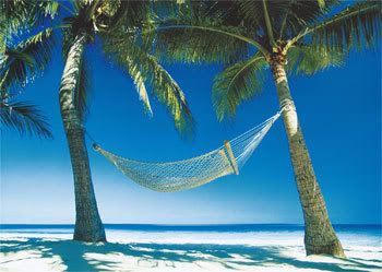 Hammock Pictures, Images and Photos