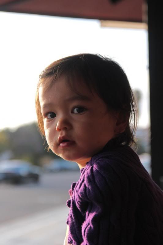 IMAGE: http://i51.photobucket.com/albums/f381/willbolk/IMG_1149-1resize_zps2dbc2fed.jpg