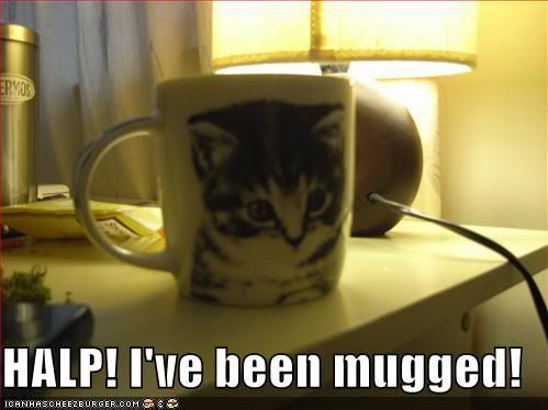 funny-pictures-cat-mug.jpg