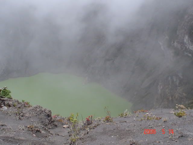 DSC01980.jpg