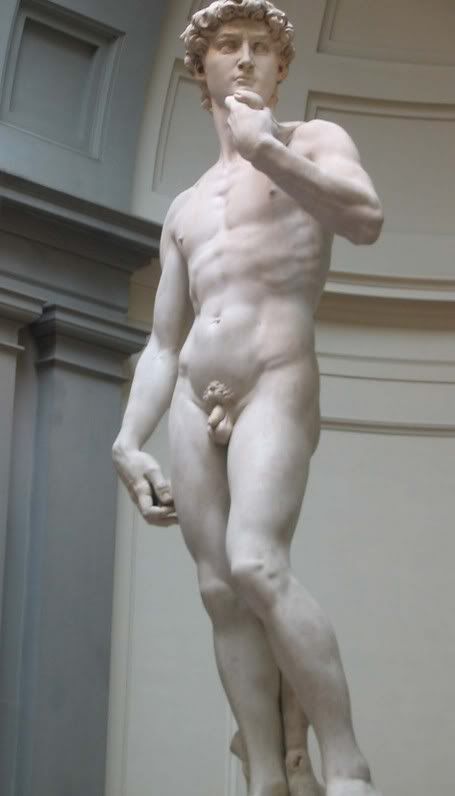 Michelangelo's - David)