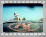 48b22a8e.mp4 video by ISRYEL