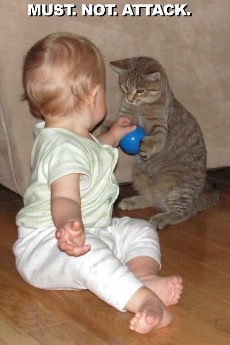 baby and cat Pictures, Images and Photos