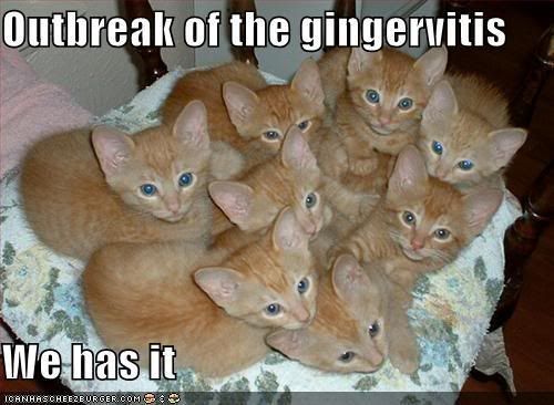 ginger.jpg