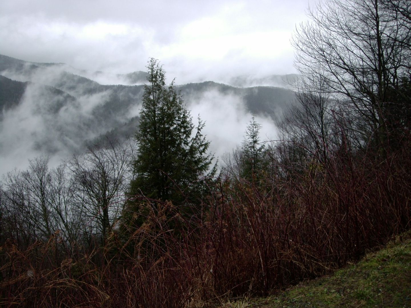 DSC00396.jpg Tennessee Smokey Mountains image by RaferWiggins