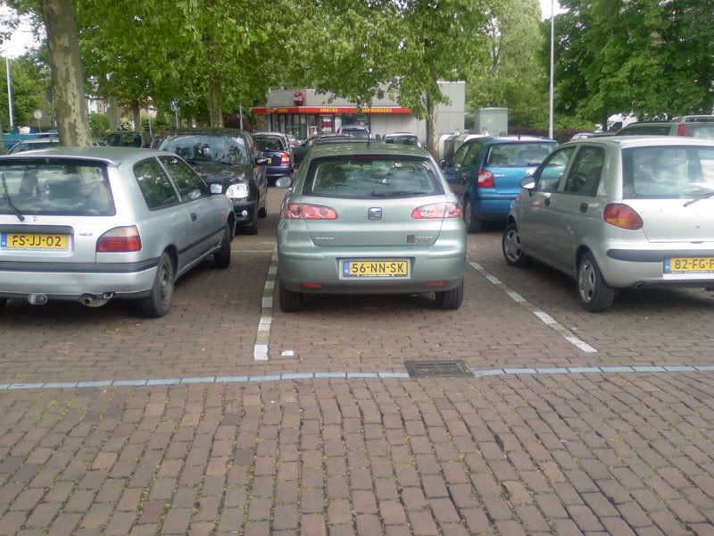 holland1.jpg