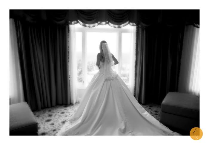 Biltmore Wedding Photography, Orange Cat Photo, Asheville Wedding Photography