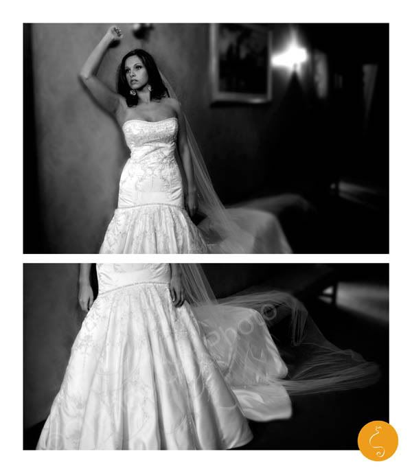 Orange Cat Photo, Asheville Photography, NC Wedding Photography, Charlotte Wedding Photography