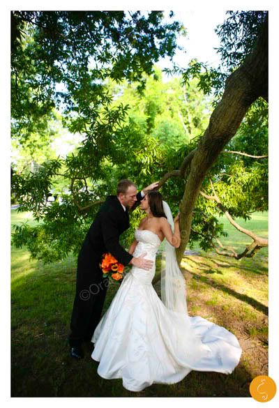 Orange Cat Photo, Asheville Photography, NC Wedding Photography, Charlotte Wedding Photography