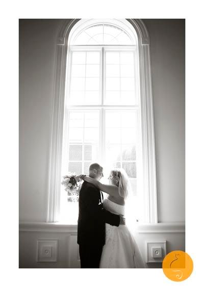 NC Wedding Photography, Orange Cat Photo, Hickory Wedding Photography