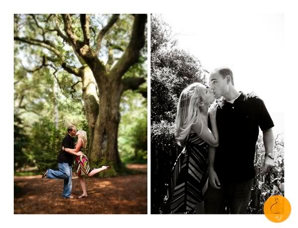 Orange Cat Photo,NC Wedding Photography,North Carolina Wedding Photography,charlotte wedding photography,Hickory Wedding Photography