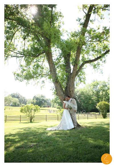 Orange Cat Photo, Kilburnie, Lancaster, South Carolina Wedding Photography, North Carolina Wedding Photography