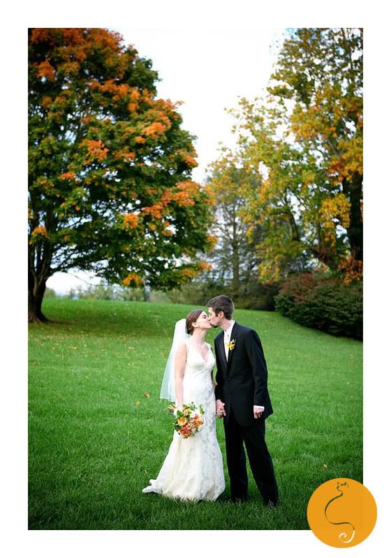 Orange Cat Photo, NC Wedding Photographer