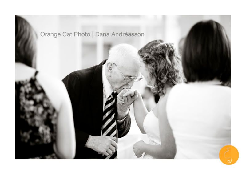 Orange Cat Photo, Duke Chapel Wedding
