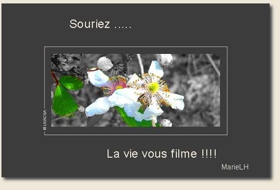 http://s35.photobucket.com/albums/d181/MarieMLH/Paroles%20de%20paix/?sc=1&addtype=local