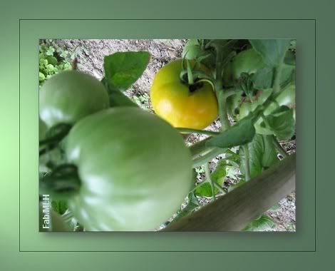 http://www.artmajeur.com/?login=fabiennemartin&go=user_pages/display_all