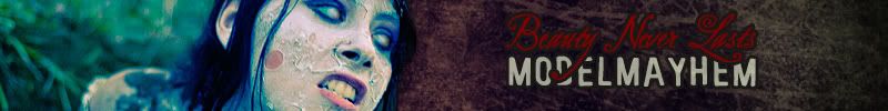 http://i51.photobucket.com/albums/f385/butchershoppe/halloweenbanner-1.jpg