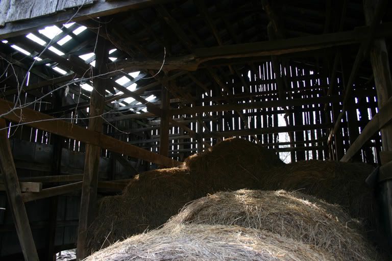 IMAGE: http://i51.photobucket.com/albums/f385/troy7997/Barn_color_small.jpg