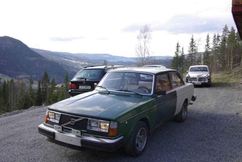 Picture302Large.jpg