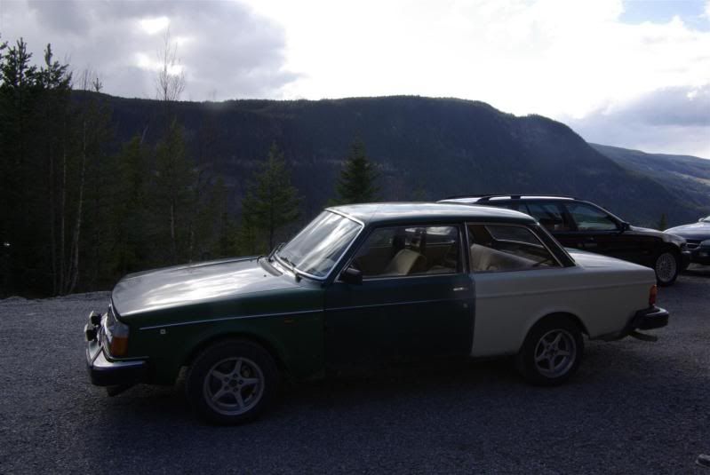 Picture303Large.jpg