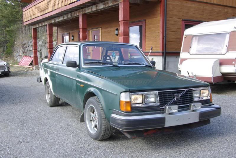 Picture305Large.jpg