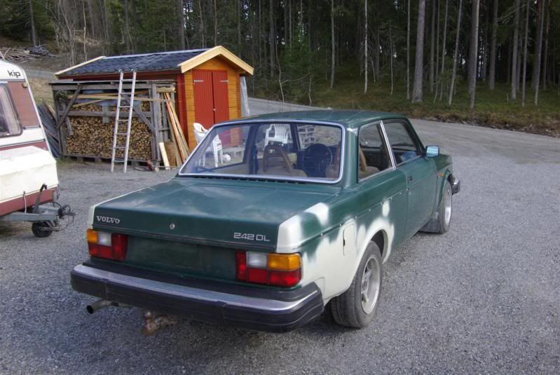 Picture307Large.jpg