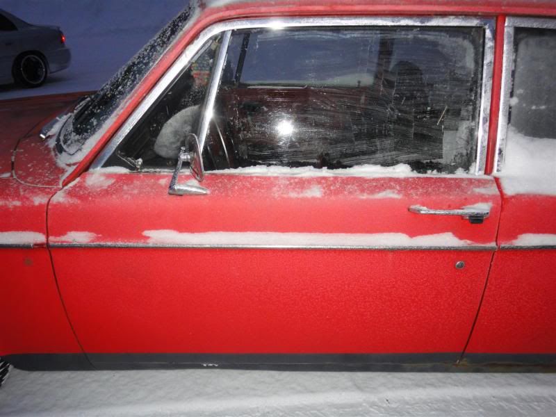 Picture139Large.jpg