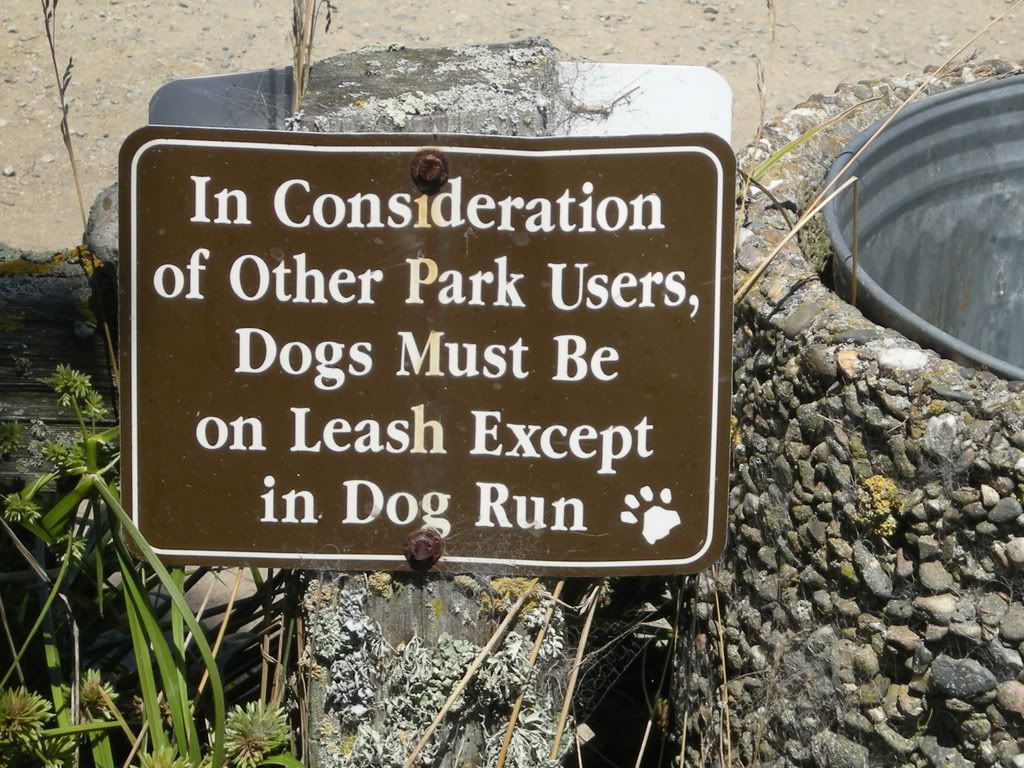 Marine County Dog Parks - Mill Valley Pictures, Images and Photos