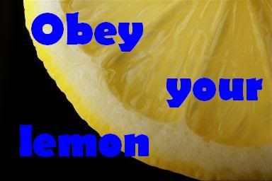 Lemon Pictures, Images and Photos