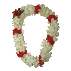flower lei Pictures, Images and Photos