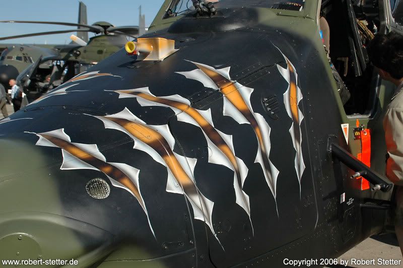 DSC_4224_Tiger.jpg