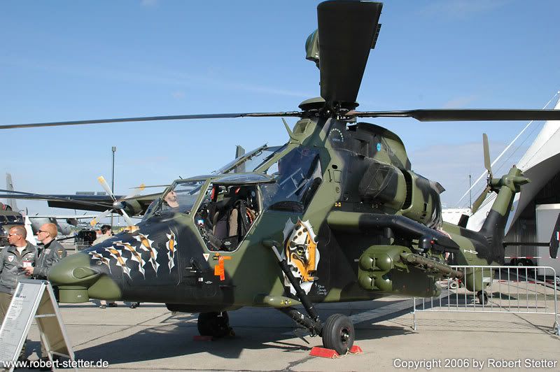 DSC_4235_Tiger.jpg