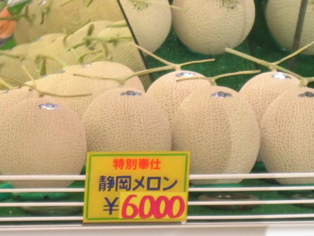 ExPeNsIvE RoCk MeLon