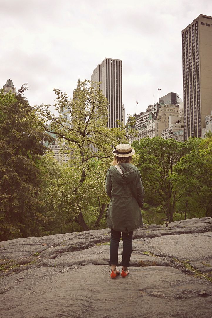 New York Central Park Valentine Hello it's Valentine