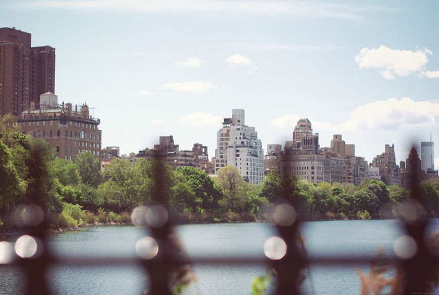 New York Central Park Valentine Hello it's Valentine
