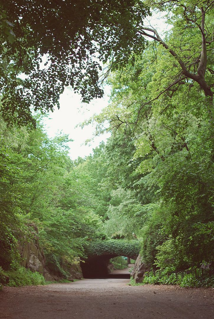 New York Central Park Valentine Hello it's Valentine